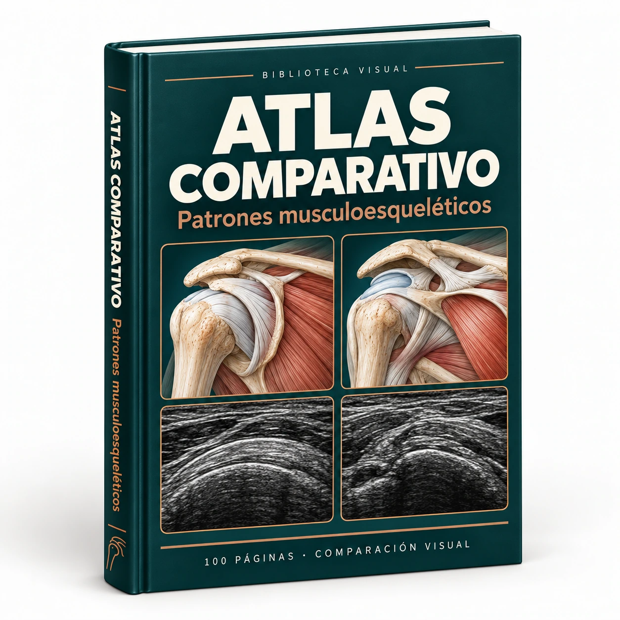 Representación del material digital: Atlas Comparativo de Patrones Musculoesqueléticos