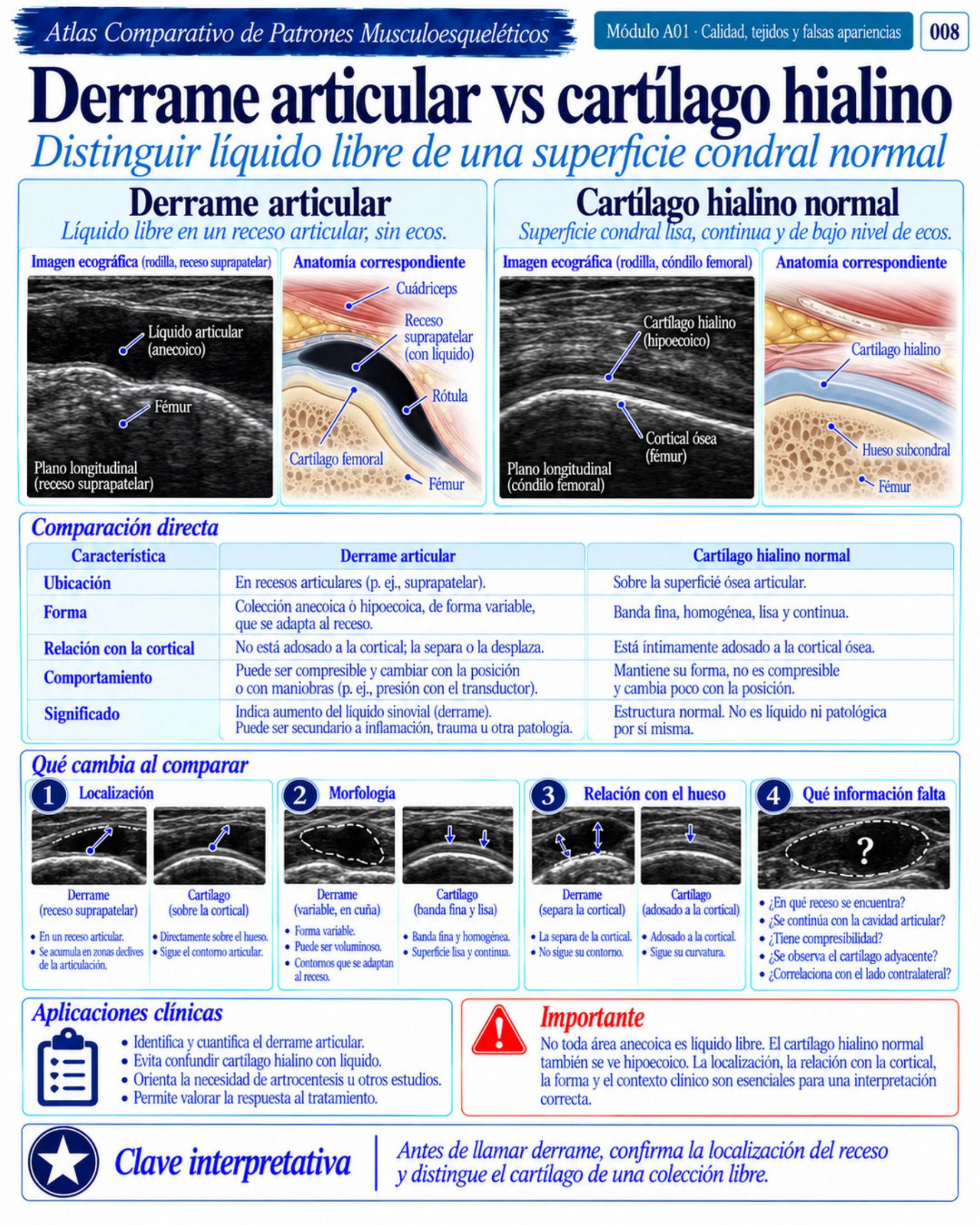 Página 8: Derrame articular vs. cartílago hialino. Muestra del material educativo de ecografía musculoesquelética.
