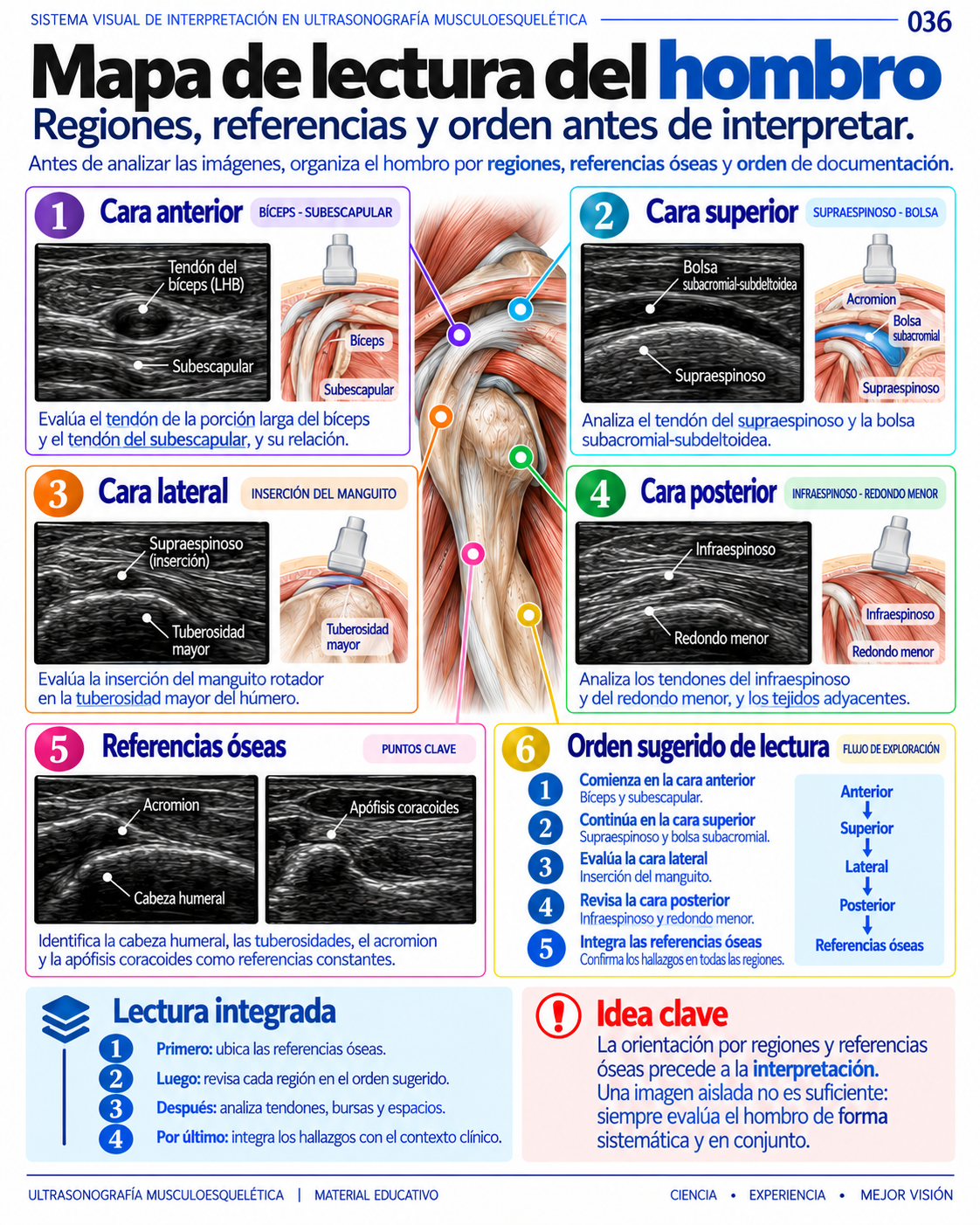 Página 36: Mapa de lectura del hombro. Muestra del material educativo de ecografía musculoesquelética.